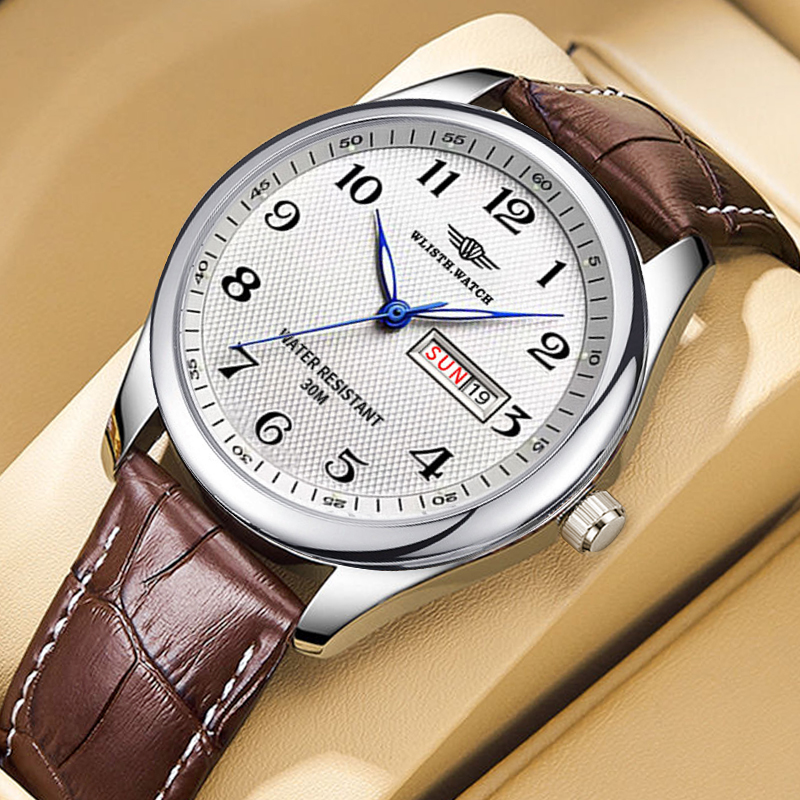 WLISTH Luxus Marke herren Uhr  – Luxury Watch Affordable Bewertung und Preis