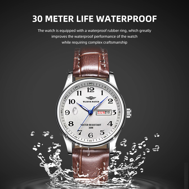 WLISTH Luxus Marke herren Uhr  – Luxury Watch Affordable Bewertung und Preis